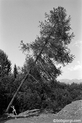 Des corps naturels
