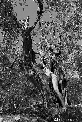 Des corps naturels