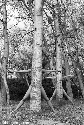 Des corps naturels