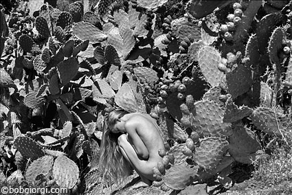Des corps naturels