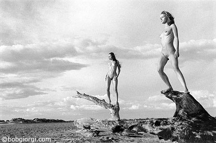 Des corps naturels